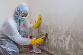 Best Post-Construction Mold Inspection  in Granite Bay, CA